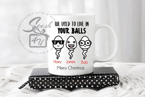 Merry Christmas - We used to live in your balls - Personalised Mug